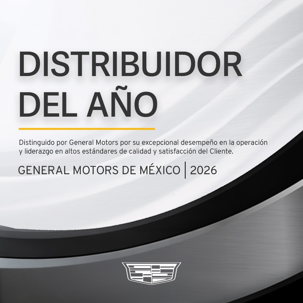 Distribuidor del Año